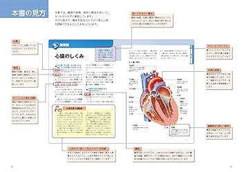 大型本・図鑑　驚異の人体　不思議な「わたしたち」のしくみ 不思議すぎる人体のしくみ図鑑 | 坂井 建雄 |本 | 通販 | Amazon